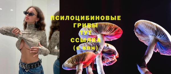 синтетический гашиш Балахна