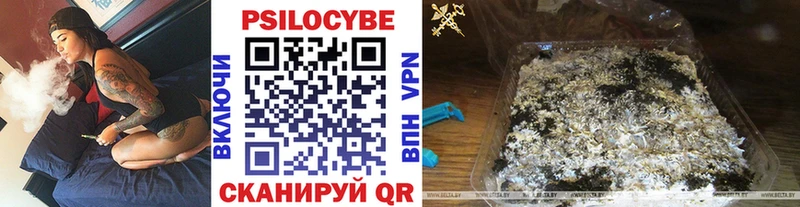купить наркоту  Рудня  kraken онион  Псилоцибиновые грибы мухоморы 